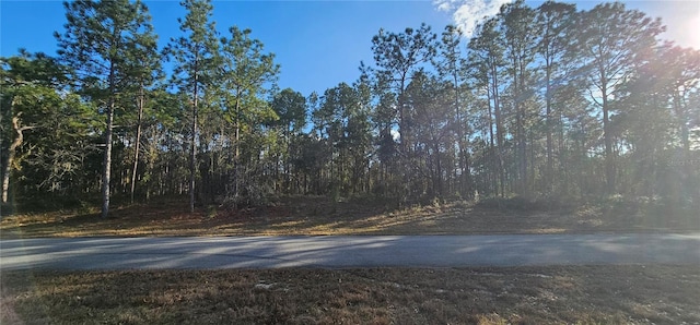 Listing photo 2 for SW 61st Avenue Rd, Ocala FL 34473