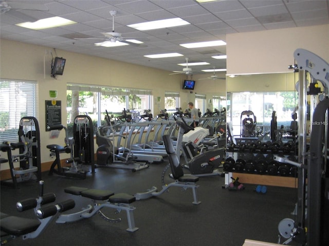 exercise room with a ceiling fan and a paneled ceiling