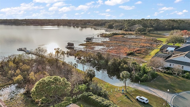 bird's eye view with a water view