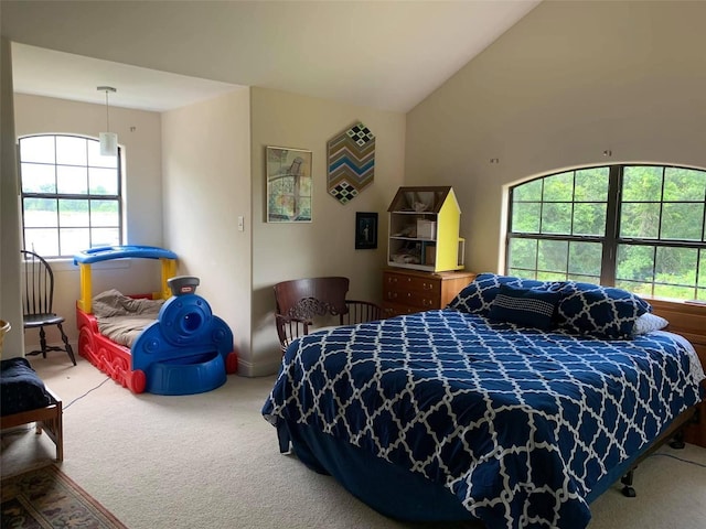 carpeted bedroom featuring lofted ceiling