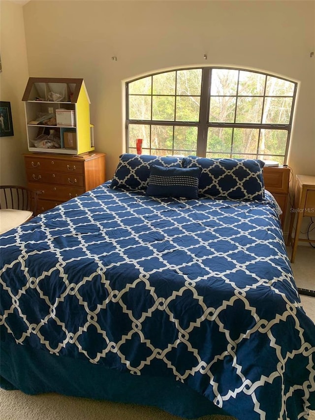 bedroom with carpet flooring