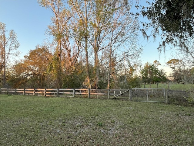 view of yard with a gate, a rural view, and fence