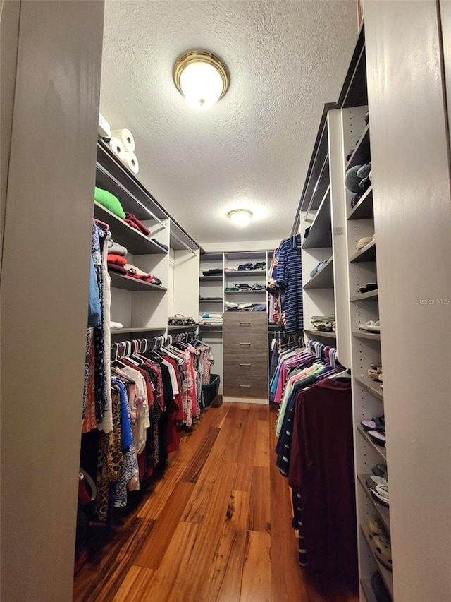 walk in closet with dark hardwood / wood-style flooring