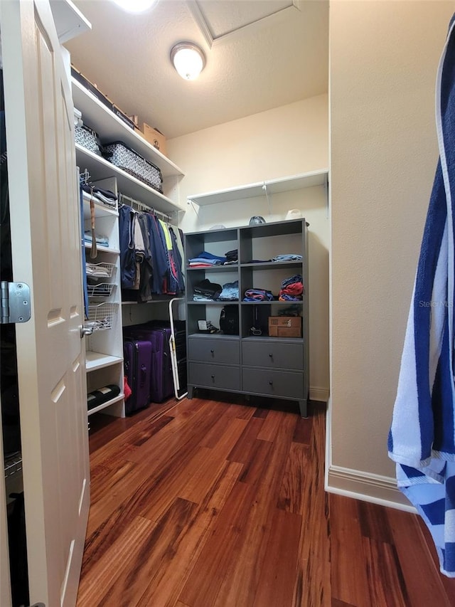 walk in closet with dark hardwood / wood-style floors