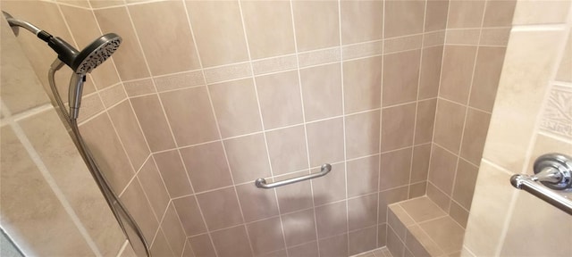 room details with tiled shower