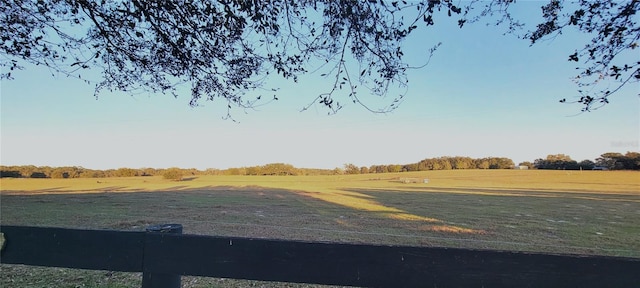 view of yard with a rural view