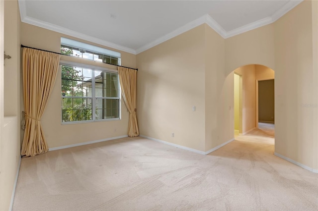 spare room featuring crown molding and light colored carpet