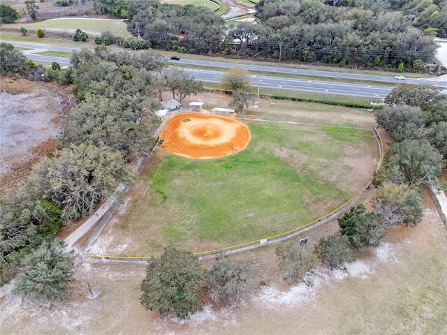 bird's eye view