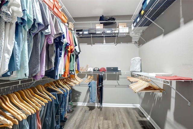 walk in closet featuring hardwood / wood-style flooring