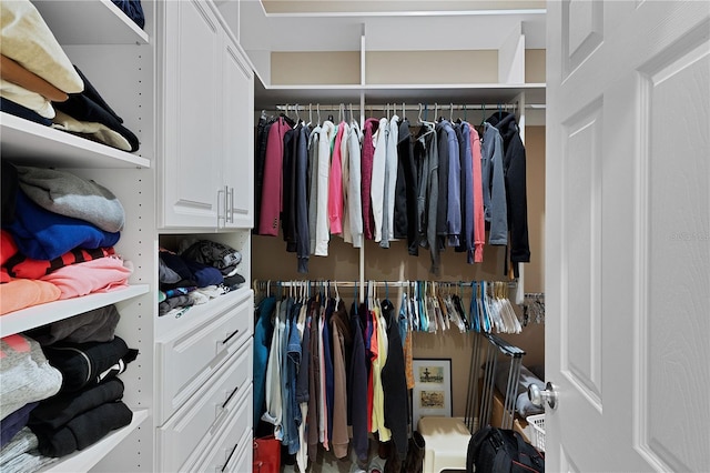 view of spacious closet