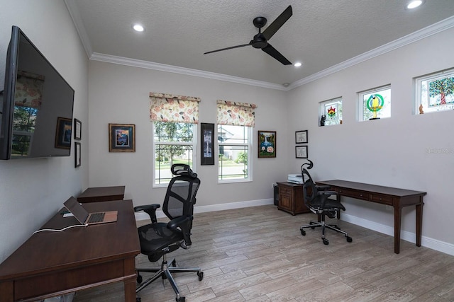 office area with crown molding, ceiling fan, a textured ceiling, and light wood-type flooring
