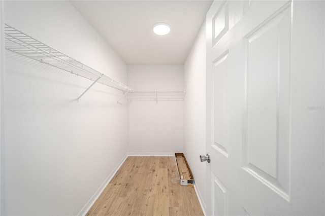 spacious closet featuring light hardwood / wood-style floors