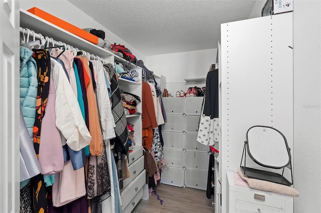 walk in closet featuring wood finished floors