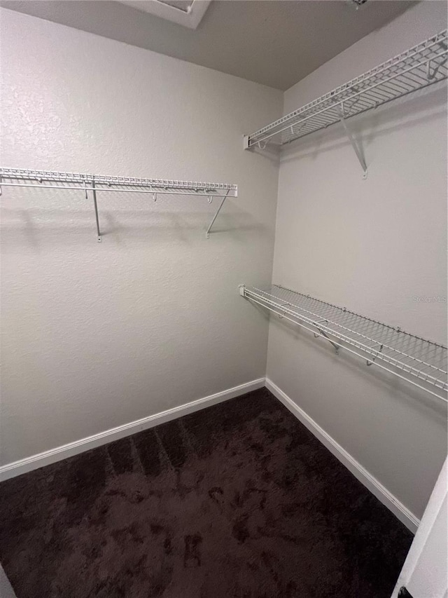 walk in closet with carpet floors