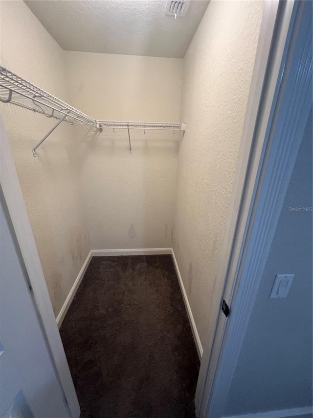 walk in closet featuring carpet flooring