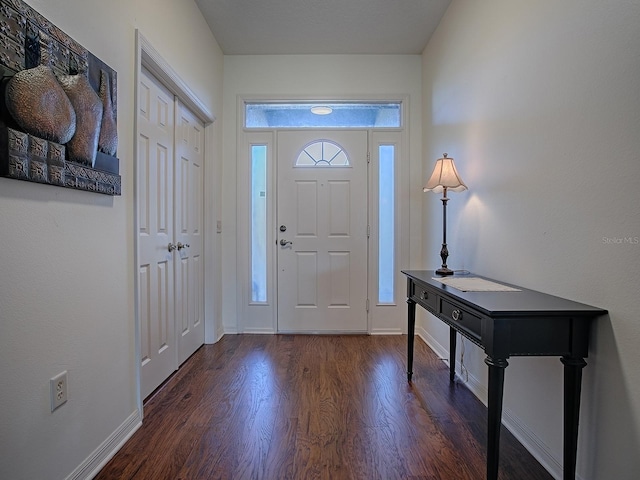 foyer entrance with dark hardwood / wood-style flooring