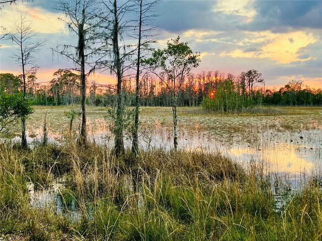 view of nature at dusk