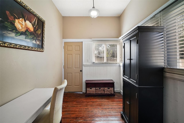 interior space featuring dark hardwood / wood-style floors