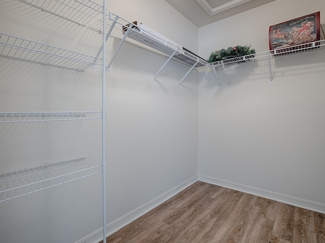 spacious closet with wood-type flooring