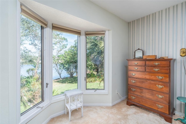 interior space featuring a water view, light carpet, and a healthy amount of sunlight