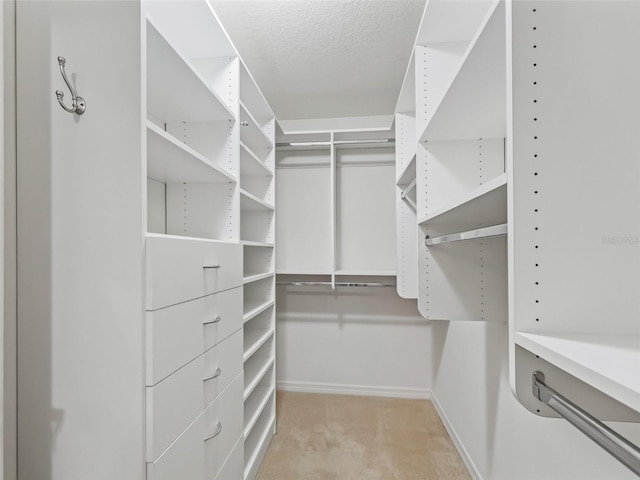 walk in closet with light carpet