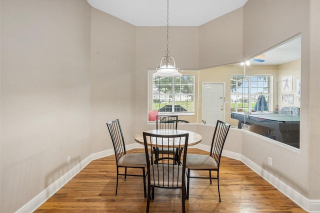 dining area with hardwood / wood-style floors and a healthy amount of sunlight