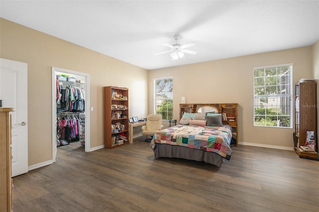 bedroom with a closet, a walk in closet, dark hardwood / wood-style floors, and ceiling fan