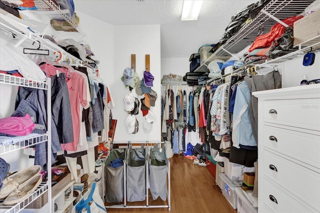 walk in closet featuring wood-type flooring