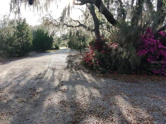 14415 County Road 448, Tavares, FL 32778 - photo 5