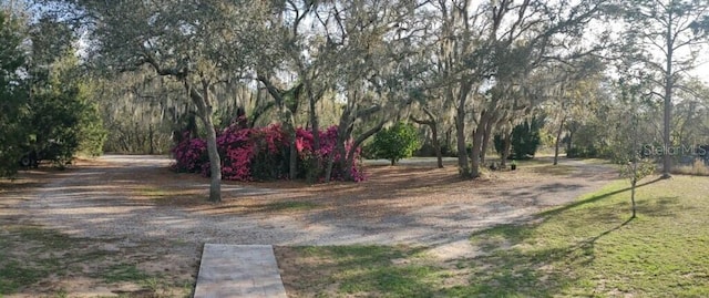 14415 County Road 448, Tavares, FL 32778 - photo 29