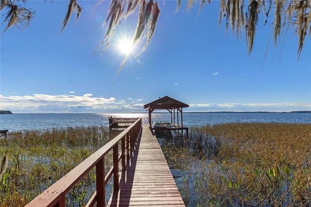 11243 Dead River Rd, Tavares, FL 32778 - photo 3