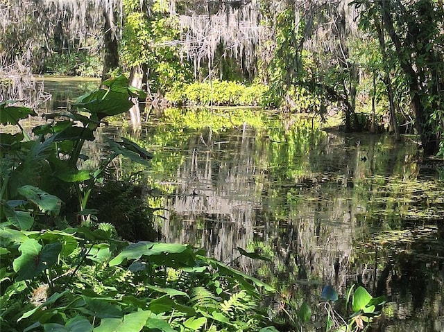11243 Dead River Rd, Tavares, FL 32778 - photo 24