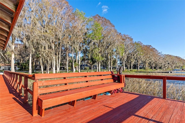 11243 Dead River Rd, Tavares, FL 32778 - photo 32