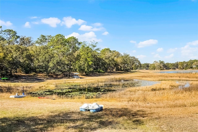 view of local wilderness with a water view