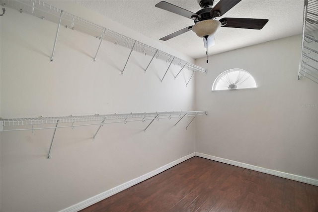 spacious closet with ceiling fan and dark wood-type flooring