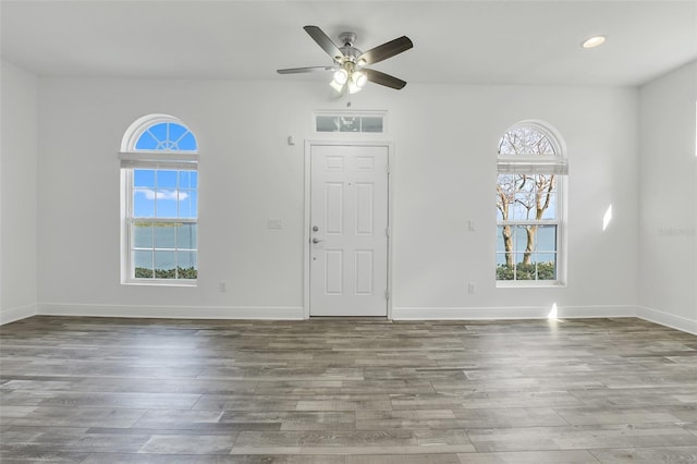 foyer with ceiling fan and wood-type flooring