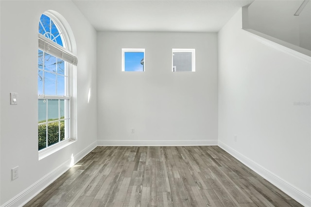 spare room featuring wood-type flooring