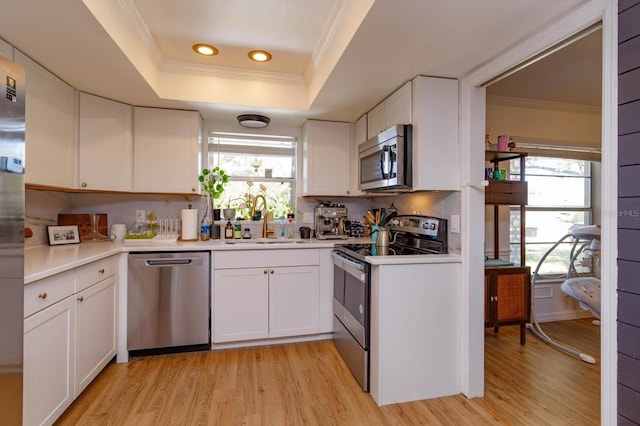 kitchen featuring plenty of natural light, appliances with stainless steel finishes, a raised ceiling, and a sink