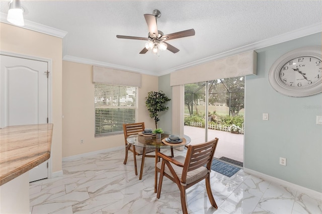 dining room with crown molding, a textured ceiling, and a wealth of natural light