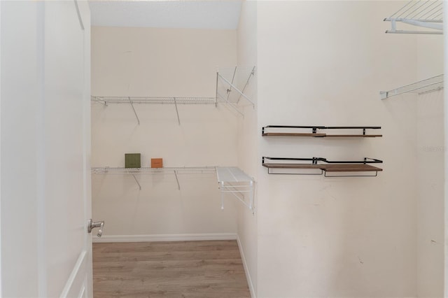 walk in closet featuring light hardwood / wood-style floors