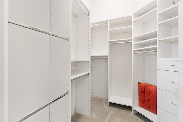 walk in closet featuring light colored carpet