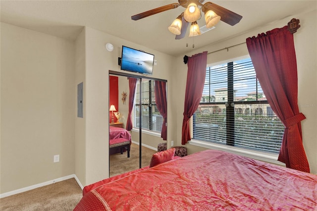 bedroom with a closet, carpet floors, and multiple windows