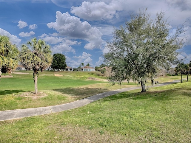 view of community with a yard