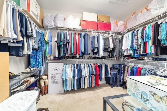 walk in closet featuring carpet floors