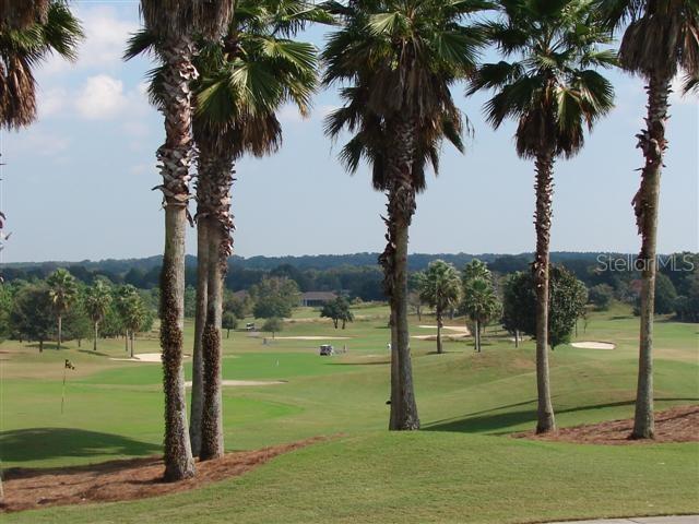 view of home's community featuring view of golf course and a yard