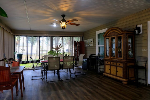 dining area with ceiling fan, dark wood-type flooring, and a wealth of natural light