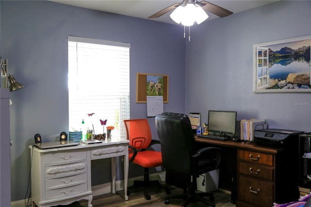 office featuring wood-type flooring and ceiling fan