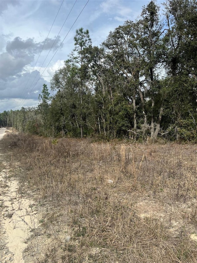 82nd Pl, Bronson FL, 32621 land for sale