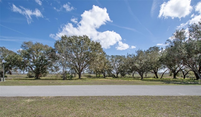 Royal Palm Dr, Groveland FL, 34736 land for sale