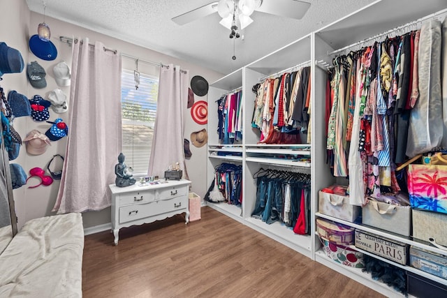 spacious closet with a ceiling fan and wood finished floors